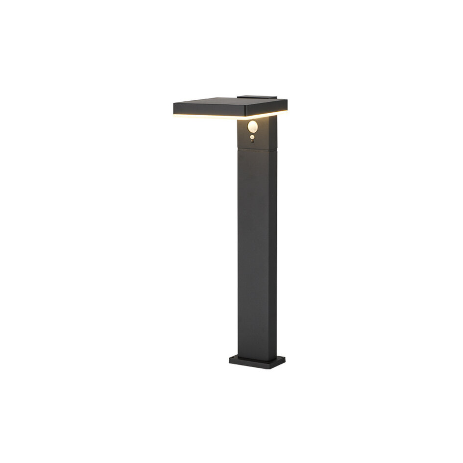 Svart solcell golvlampa med sensor Paulo - 50 cm