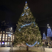Erweiterbare Weihnachtsbeleuchtung | Warmweiß | 90 Meter mit 900 Lichtern | Gummi