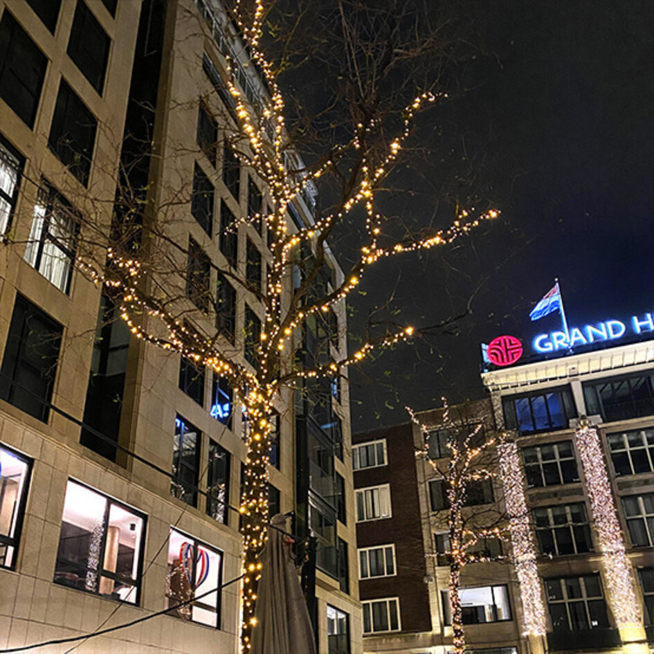 Erweiterbare Weihnachtsbeleuchtung | Warmweiß | 100 Meter mit 1000 Lichtern