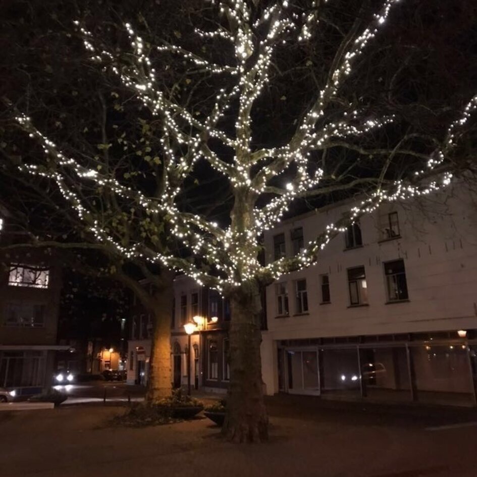 Erweiterbare Weihnachtsbeleuchtung | Kaltweiß | 30 Meter mit 300 Lichtern | Gummi