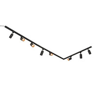 Modernes 3-Phasen-Gleissystem mit Juno-Spots