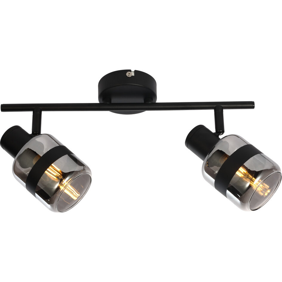 Industrie-Deckenstrahler Rauchglas, 2-fach - Gesa