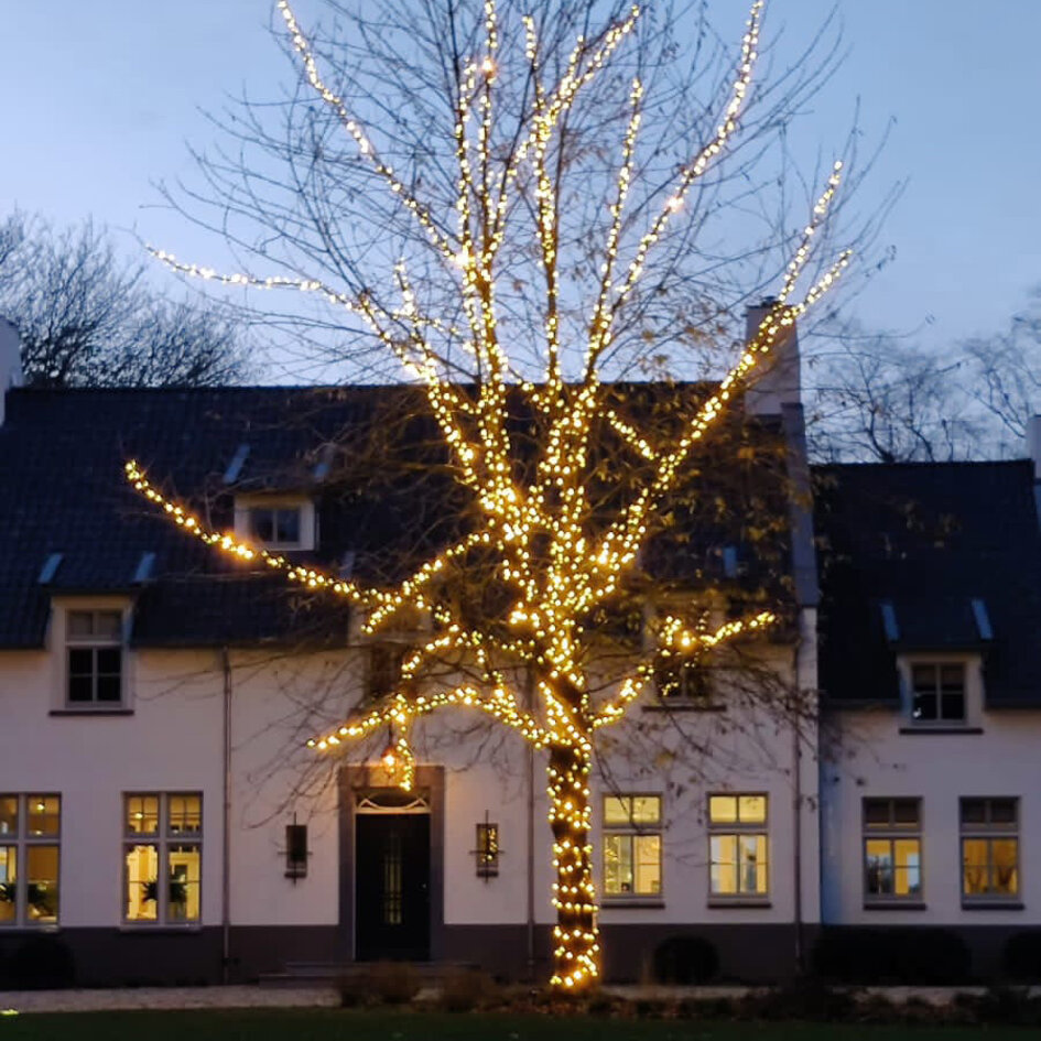 Kopplingsbar julbelysning | varmvit med blått glitter | från 10 meter med 100 LED | gummi
