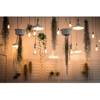 Industriell guldsnörpendel inkl. 8,5W till 10W XXXL lampa, bärnstensfärgat glas, 2000K, Ø200