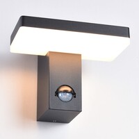 Utomhusvägglampa Roberto med rörelsesensor och integrerad LED - svart