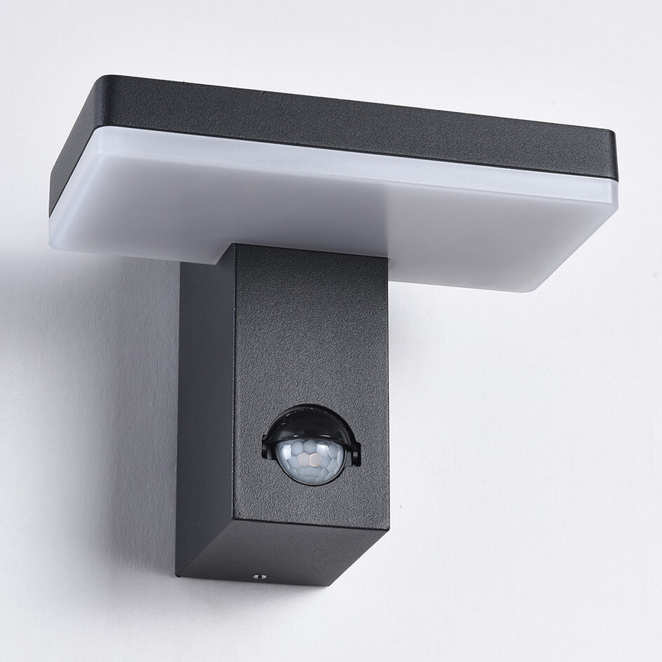 Utomhusvägglampa Roberto med rörelsesensor och integrerad LED - svart