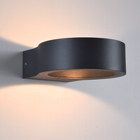 Rund utomhusvägglampa Leo - svart med integrerad LED