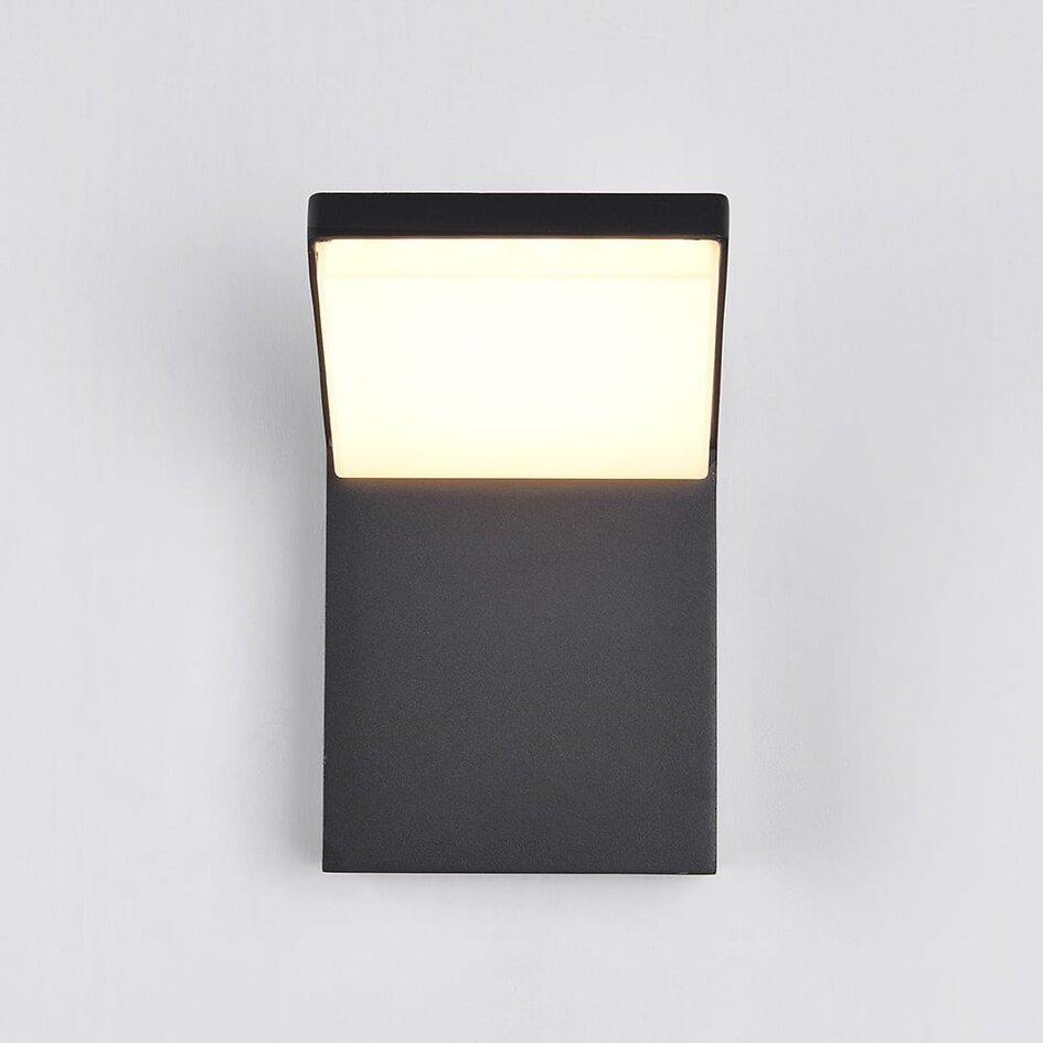 Utomhusvägglampa Giraffe - antracit