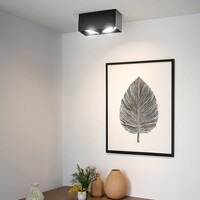 AR111 utanpåliggande spotlight 2-ljus Brooklyn - svart