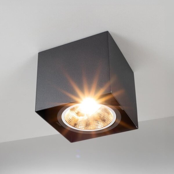 AR111 Utanpåliggande spotlight 1-ljus Willow - svart