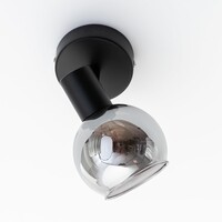 Taklampa Dallas med en lampa - rökfärgat glas med spegeleffekt