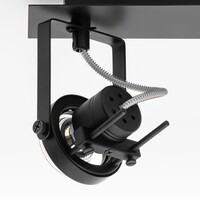 Designad taklampa Dayton med två lampor, justerbar svart