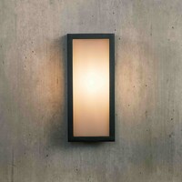 Utomhusvägglampa Calvin svart