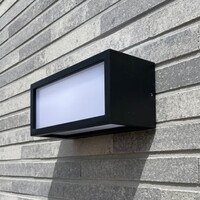Utomhusvägglampa Calvin svart