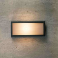 Utomhusvägglampa Calvin svart