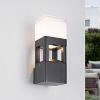 Industriell utomhusvägglampa Terry - svart med integrerad LED