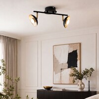 Industriell taklampa Orchid med två lampor