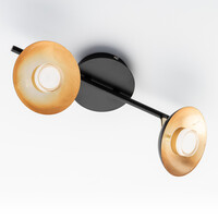 Industriell taklampa Orchid med två lampor