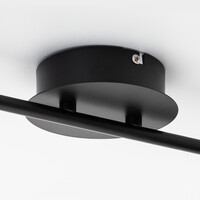 Industriell taklampa Orchid med två lampor