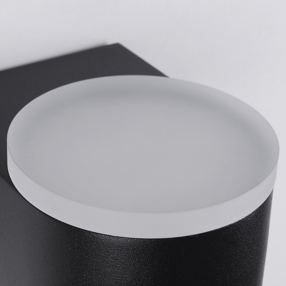 Utomhusvägglampa Feline med integrerad LED - svart
