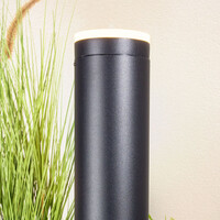 Modern stående utomhuslampa Felix - 50 cm svart med integrerad LED
