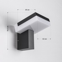Industriell utomhusvägglampa Xavi - svart med integrerad LED