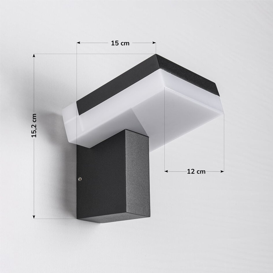 Industriell utomhusvägglampa Xavi - svart med integrerad LED