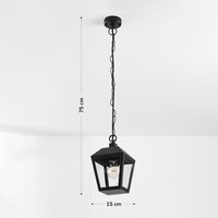 Lantlig pendellampa för utomhusbruk i svart - Joy