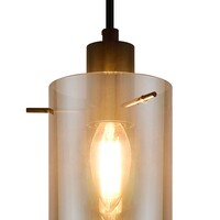 Matt svart taklampa med rökgrått glas 5-ljus Texas