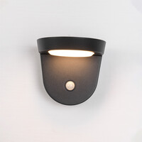 Solcellsvägglampa med sensor - Jackson