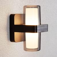 Utomhusvägglampa Diona med två lampor - svart med integrerad LED