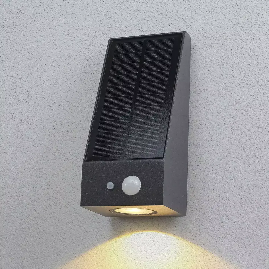 Solcellsvägglampa för utomhusbruk med sensor Donya