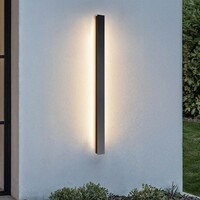 Minimalistisk utomhusvägglampa Erla - svart med integrerad LED