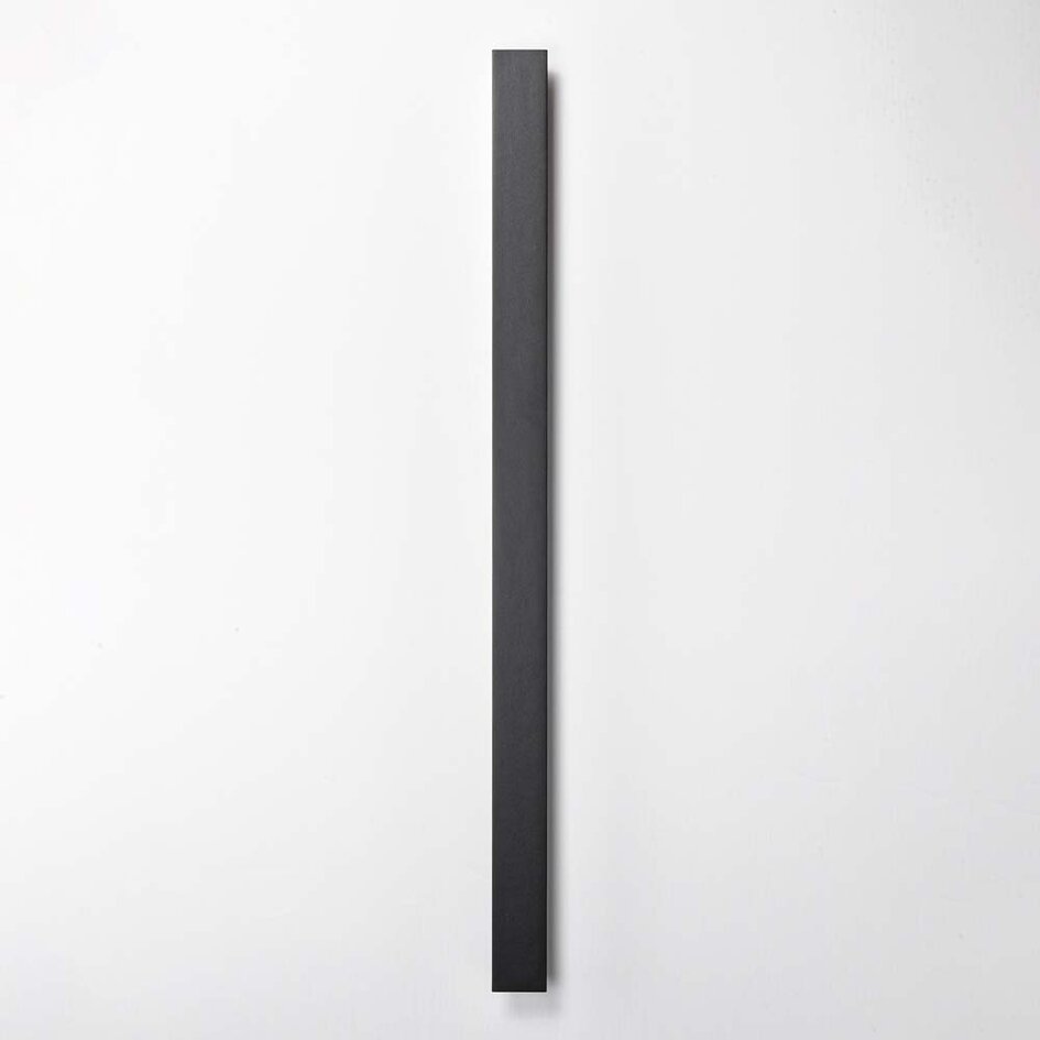 Minimalistisk utomhusvägglampa Erla - svart med integrerad LED