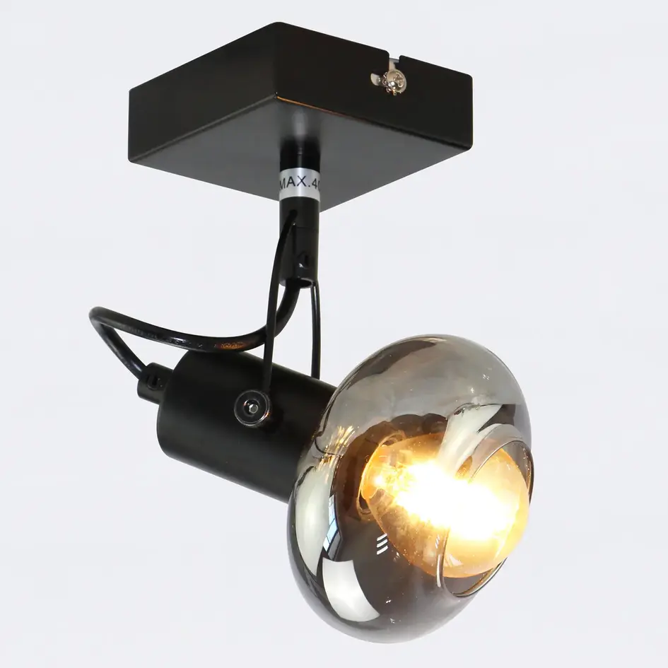 Taklampa Sacha med en lampa och rökfärgat grått glas - svart