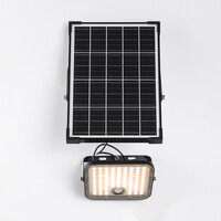 30W solcellsdriven LED-strålkastare för utomhusbruk med sensor - Nick
