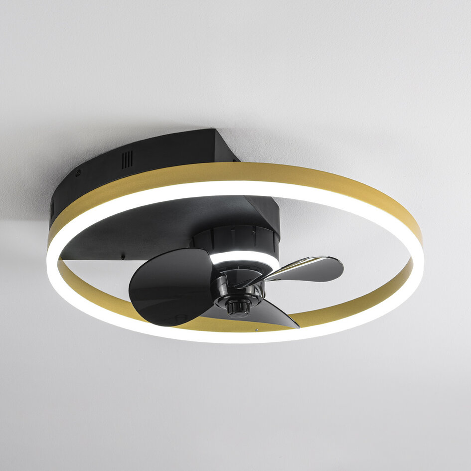Takfläkt Lichi med integrerad LED och fjärrkontroll