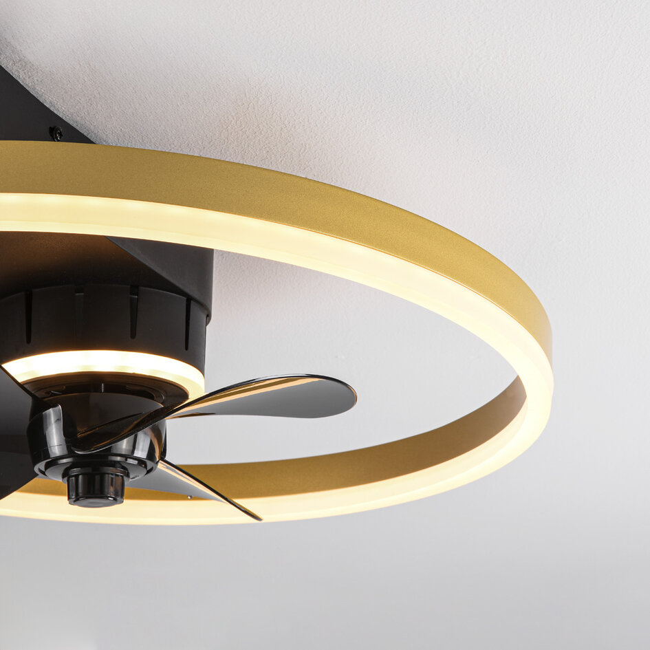 Takfläkt Lichi med integrerad LED och fjärrkontroll