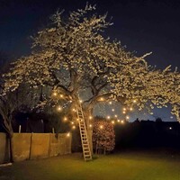 Partyslinga set med 5W spirallampa, 1800K, bärnstensfärgat glas, Ø60 - exkl. dimmer