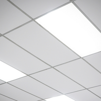 LED-panel, 120x30cm, UGR<22, 24W, 4000K - 125lm/W