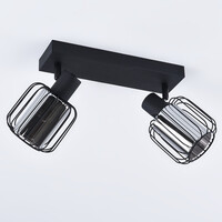 Takspotlight Dua med två lampor - rökfärgat glas med vridbara spotlights