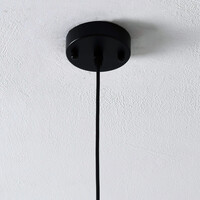 Pendellampa Trinidad med en lampa - transparent glas, mellanstor kula