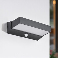Utomhusvägglampa Onyx med sensor - svart med integrerad LED