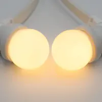 Lampslinga-set med LED-lampor med mjölkvit kåpa med vit lampslinga
