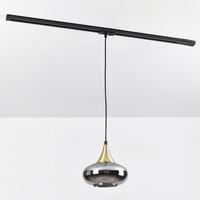 Pendellampa Nill 1-fas, guld med brett rökfärgat glas och spegeleffekt