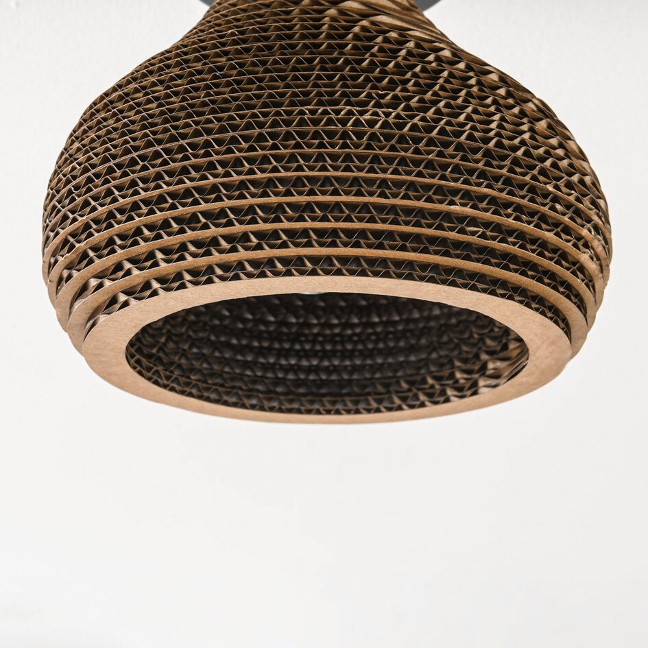 Taklampa Papilla med en lampa - kartong