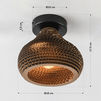Taklampa Papilla med en lampa - kartong