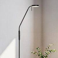 Golvlampa Lumina i svart med integrerade lysdioder