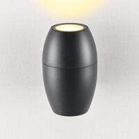 Oval badrumsvägglampa med en lampa i svart