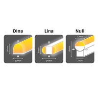 Neon ljusslang DINA i grönt